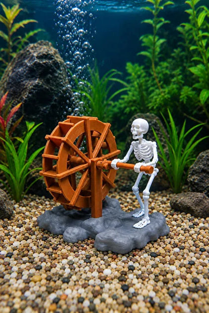 Fish Tank Skeleton